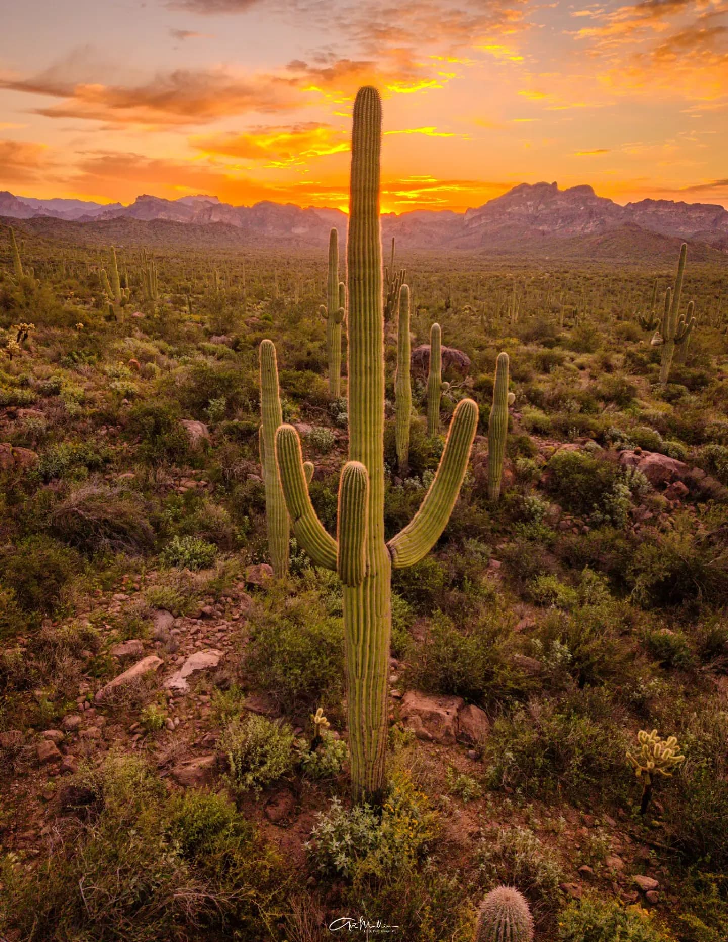 Iseekoutdoorphoto.com image
