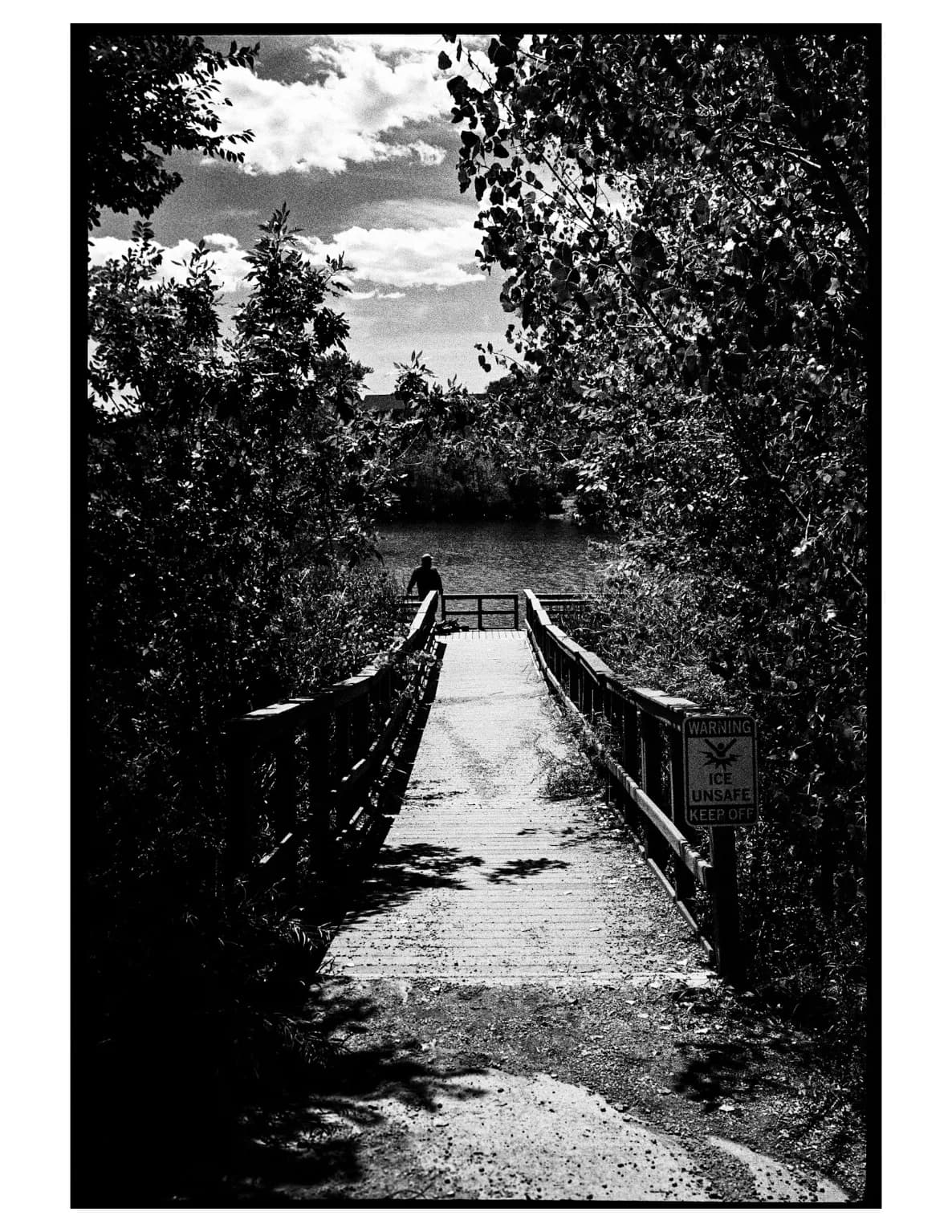 Brfoster_photo image