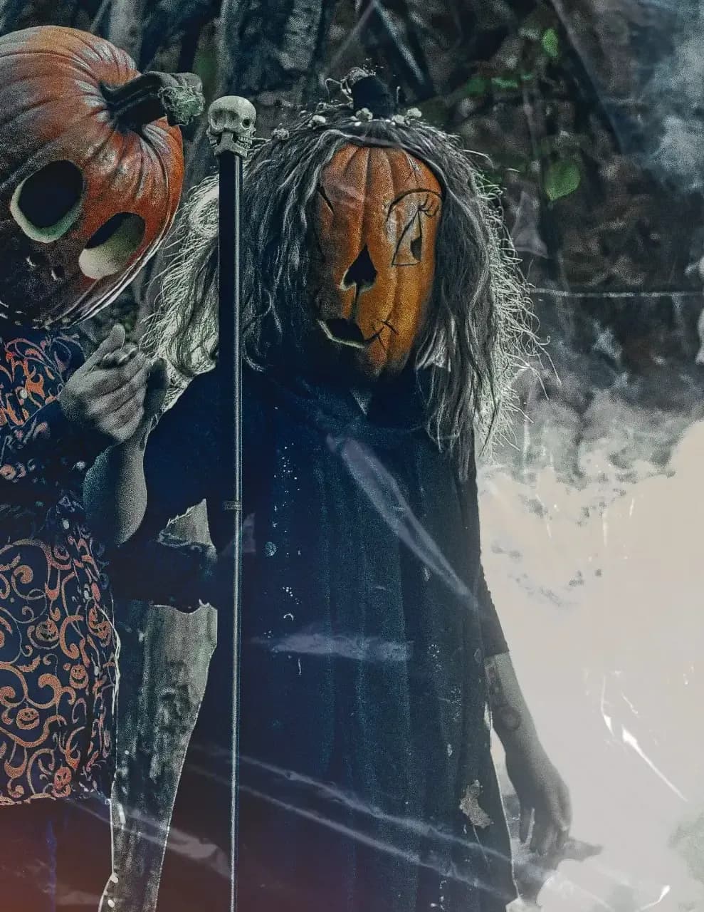 Shadowline Visuals image