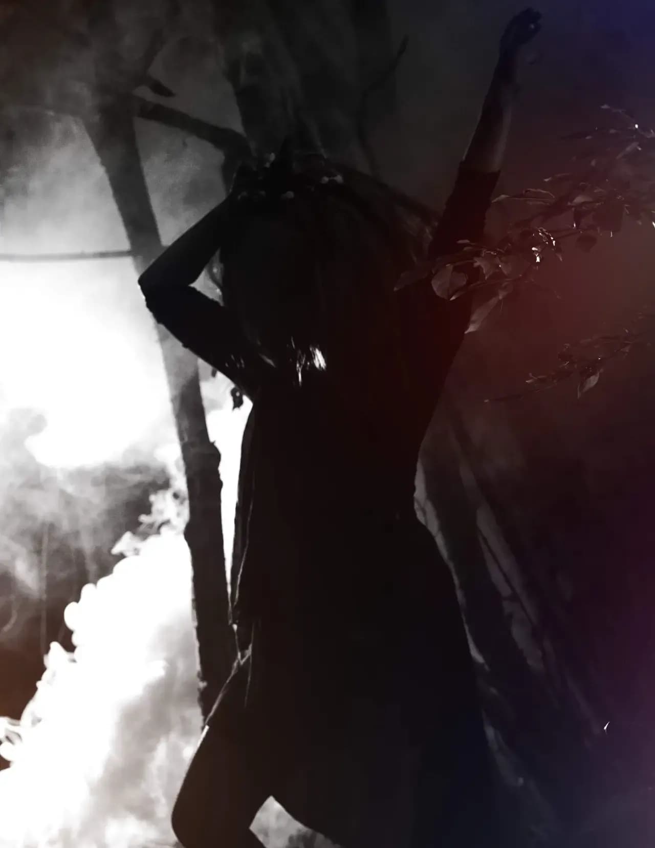 Shadowline Visuals image
