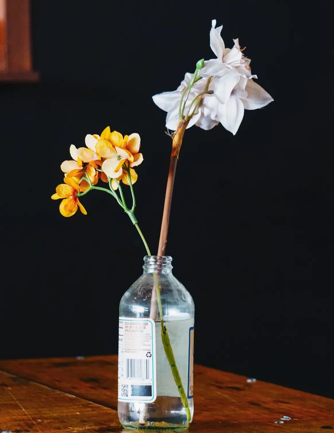Oilpan photography image