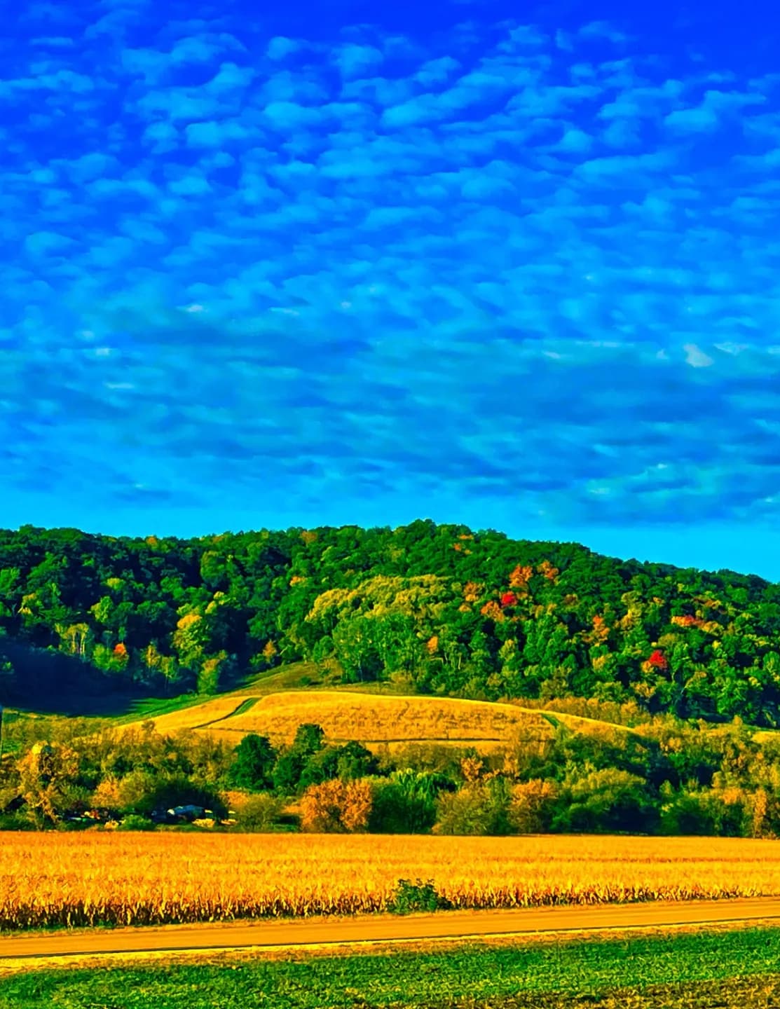 Xpressive Photography image