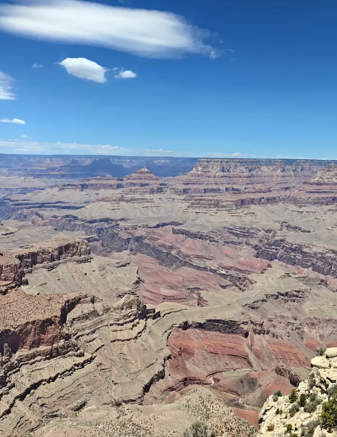 DKnowltonJR07 image