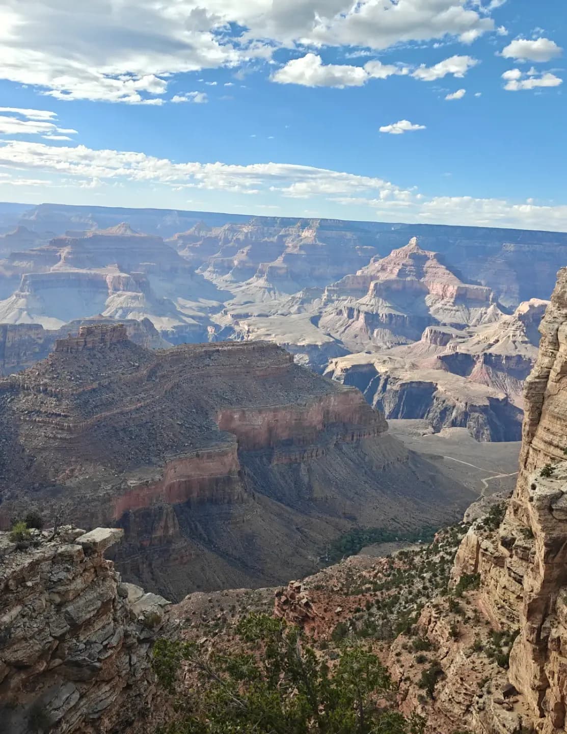 DKnowltonJR07 image