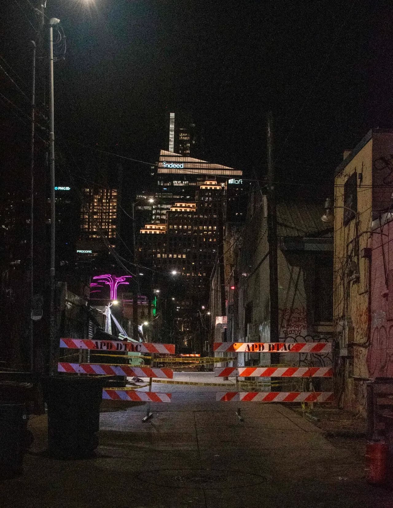 Trace Wiley image