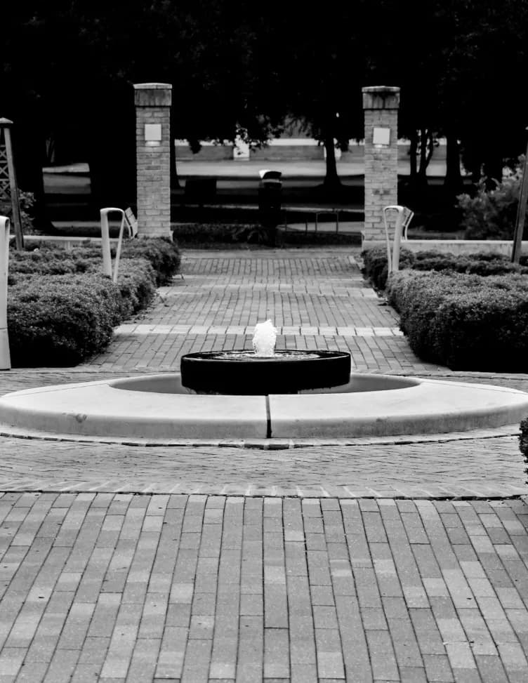 Moose54Photography image