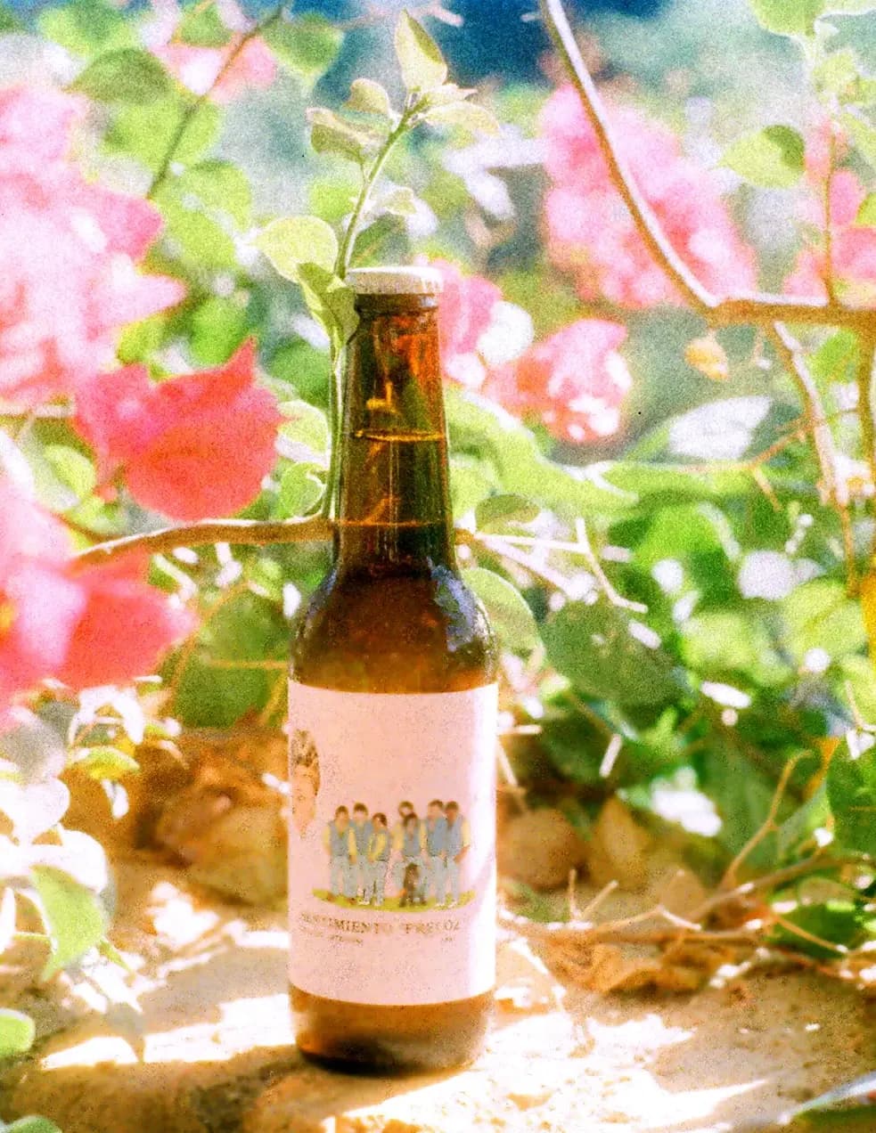 Monley1990 image