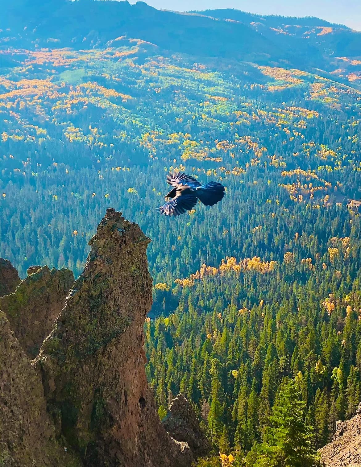 Deeskee image