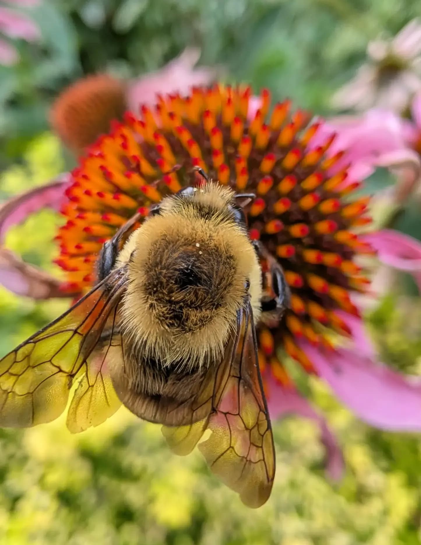 Darren Smith image