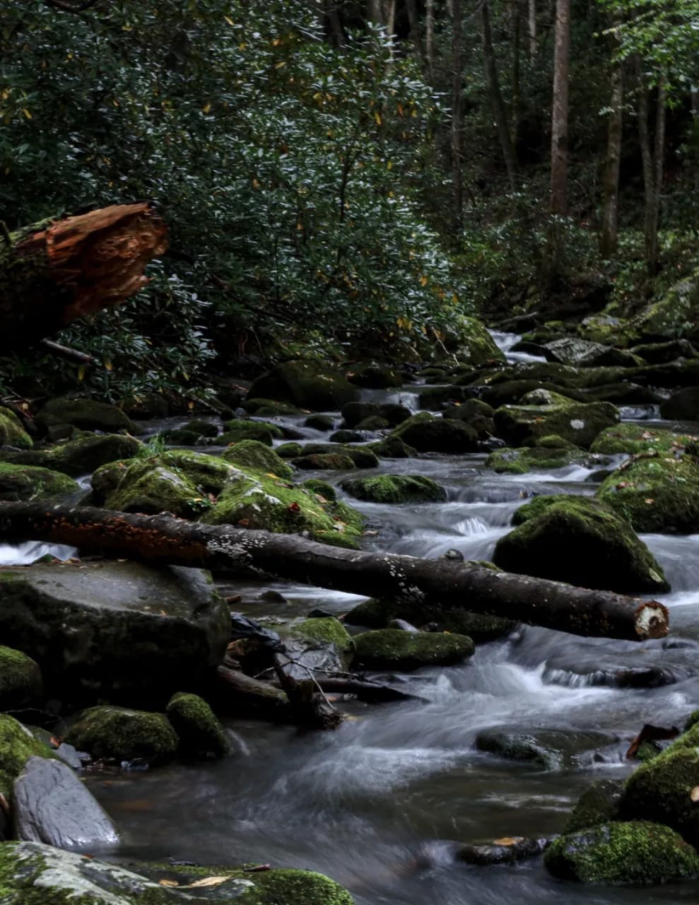 Cody Meridith Photography image