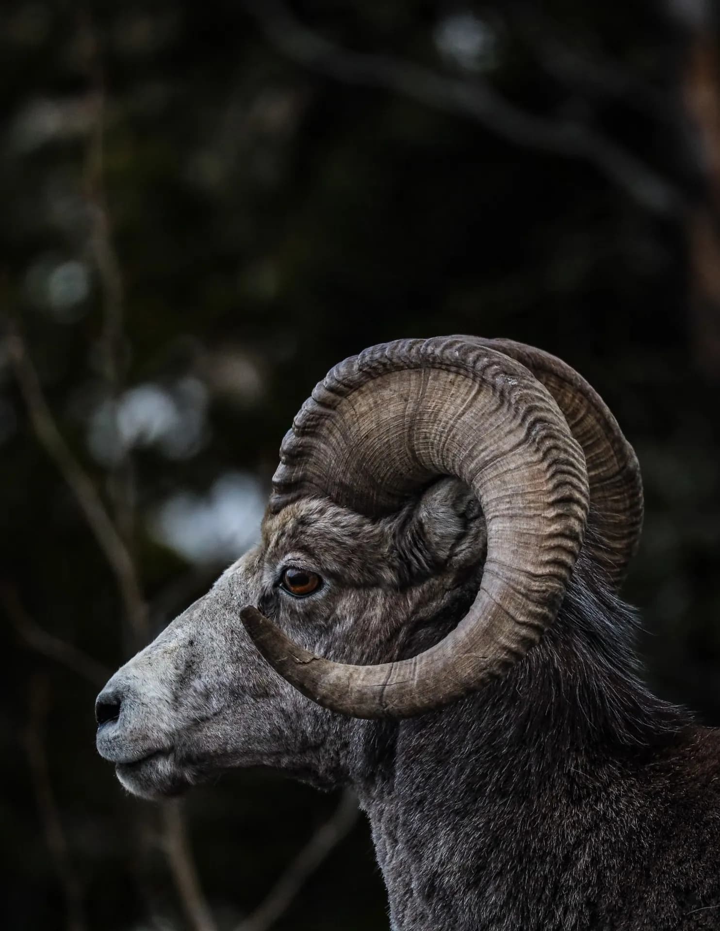Cody Meridith Photography image