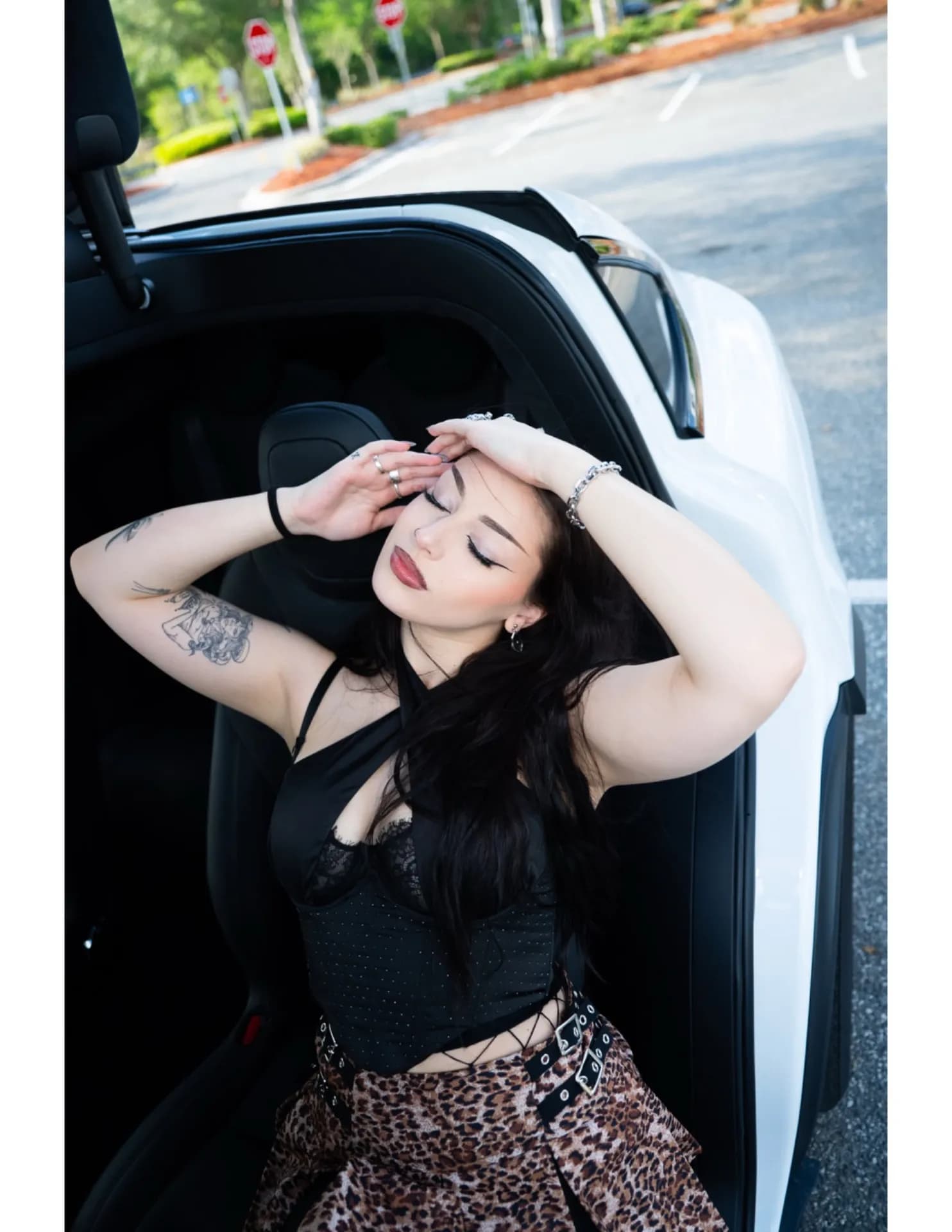 Kriz image