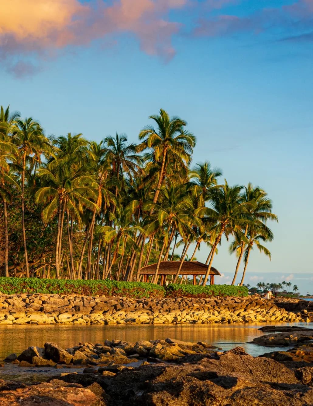 Cpadraic image
