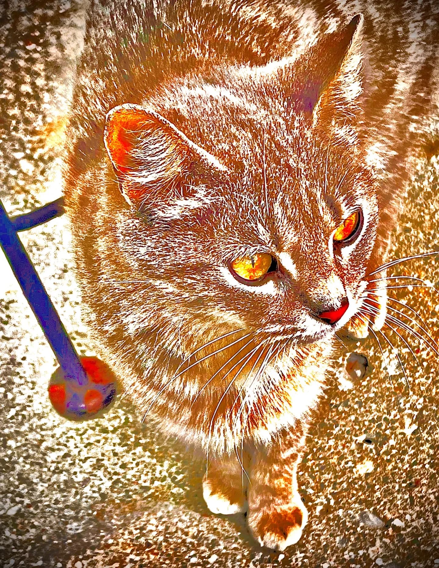 SinfulSephyra image