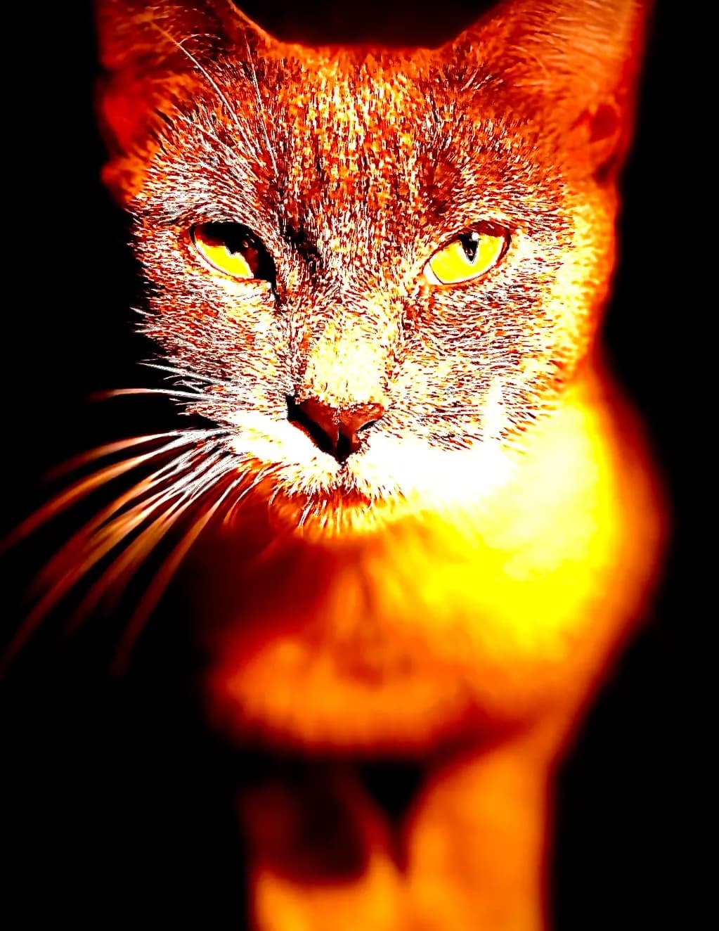 SinfulSephyra image