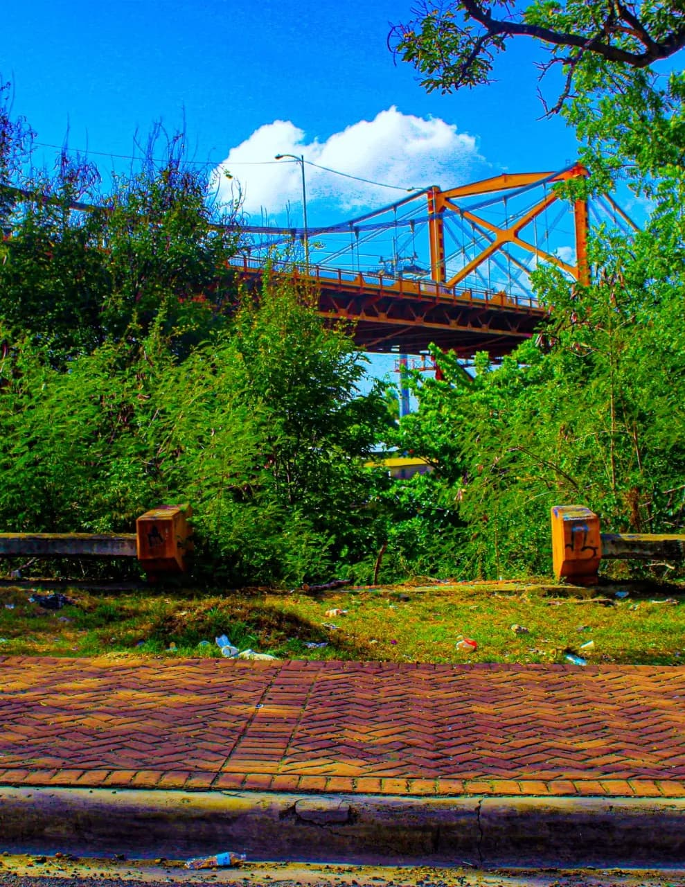 Ki_Photography1 image