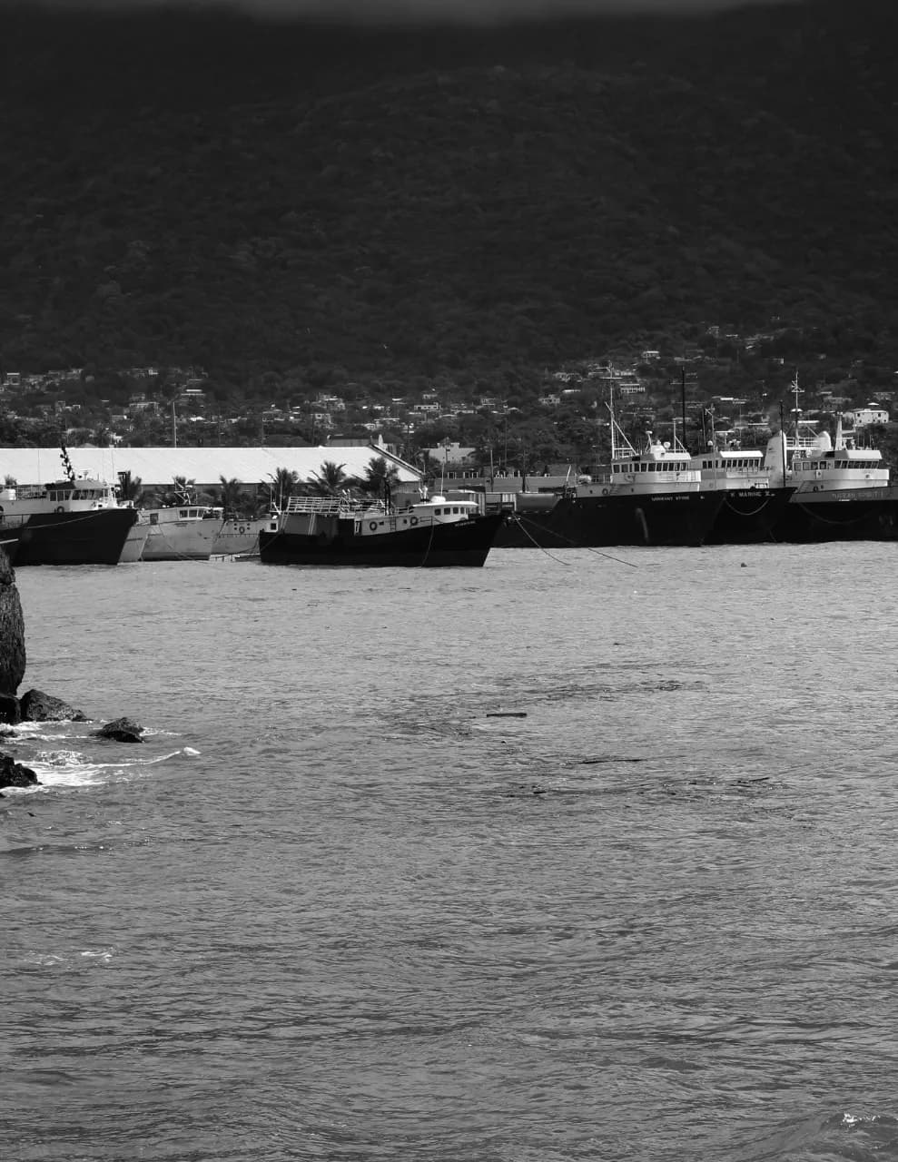 Ki_Photography1 image