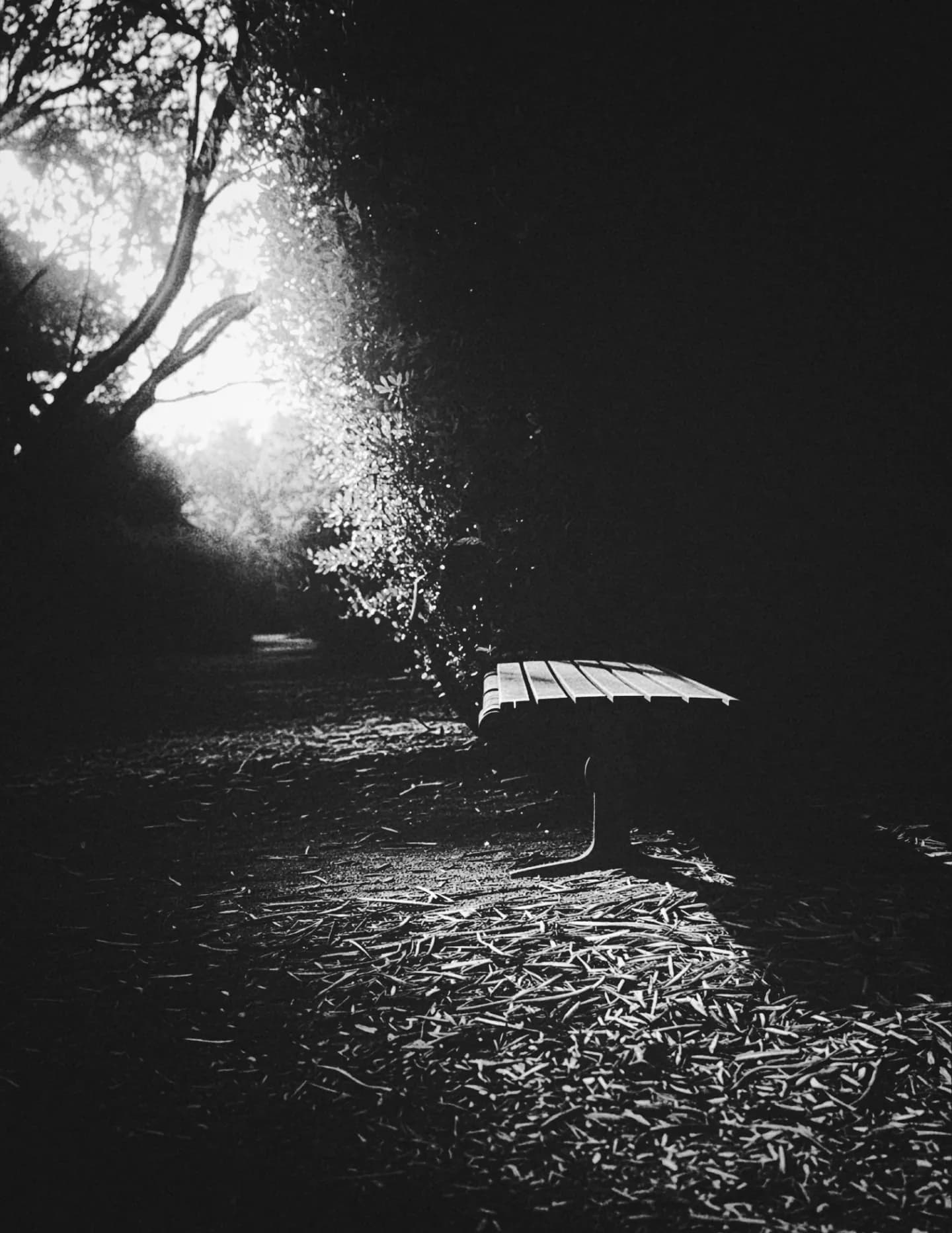 Brian Curbello (GuruBrianSunArt) image
