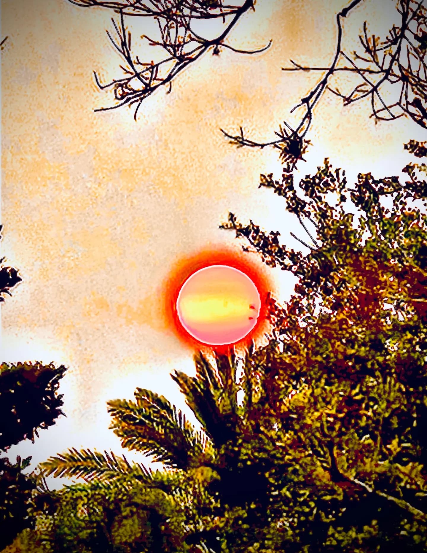 Jonathan Culbreth image