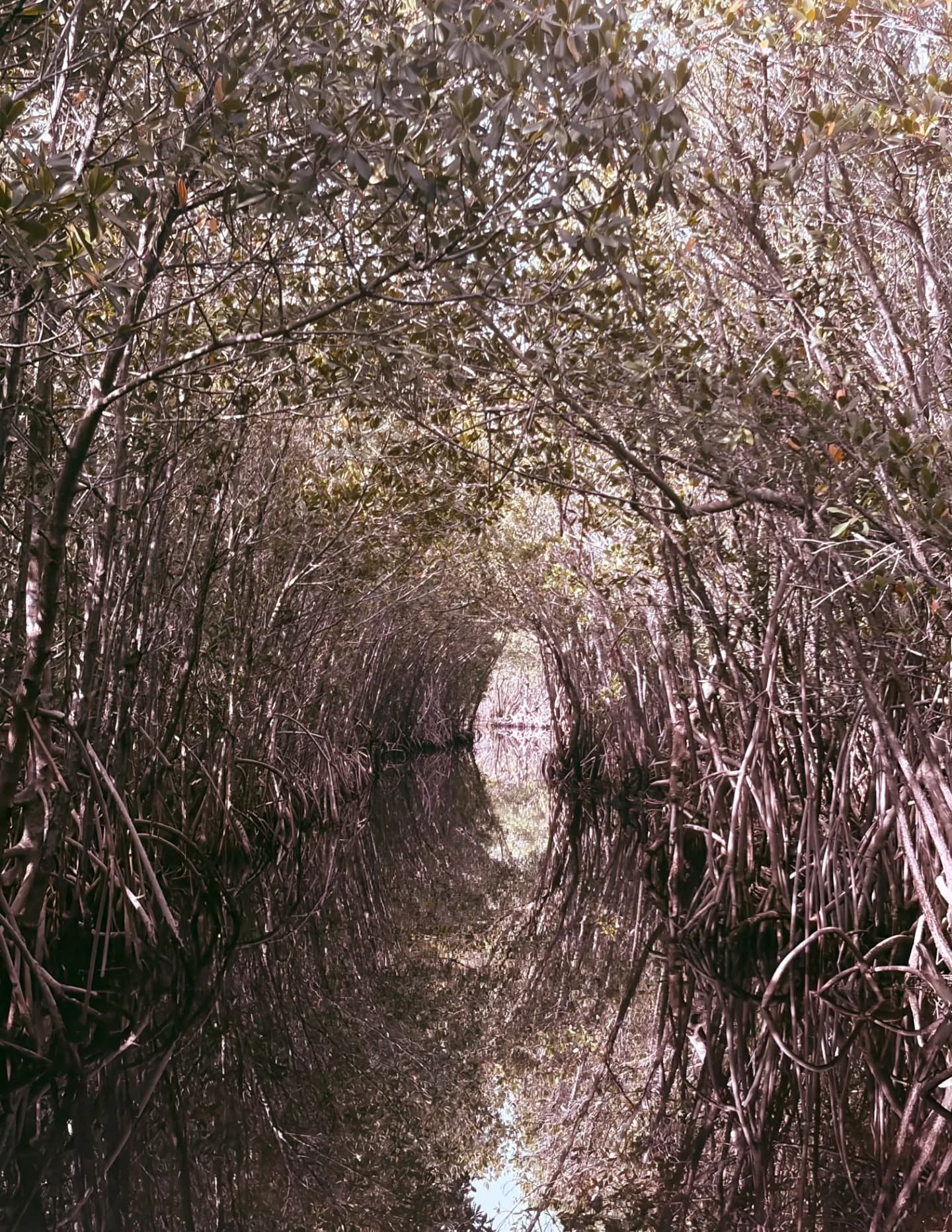 framesbyasia image