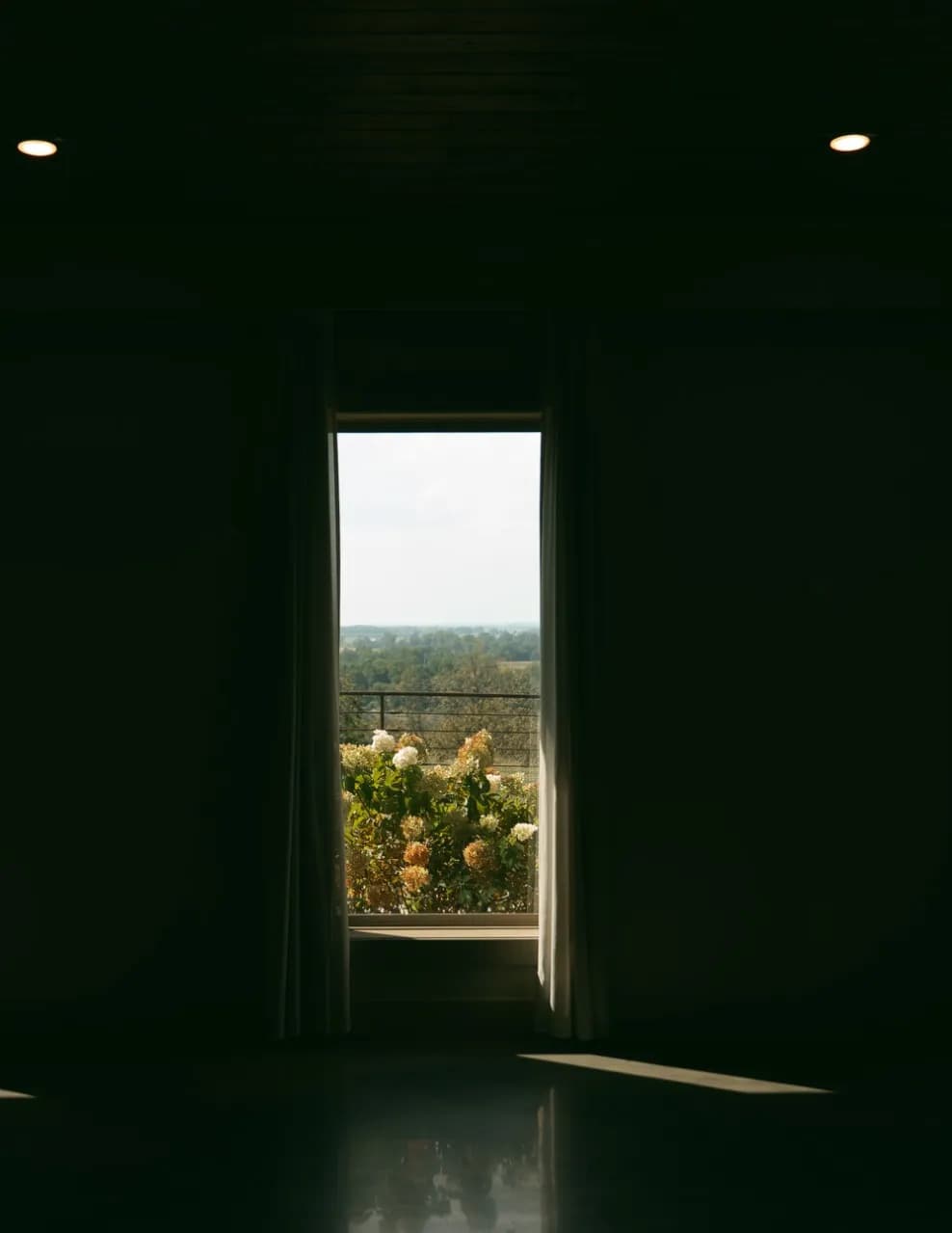 Andieleighphotography image