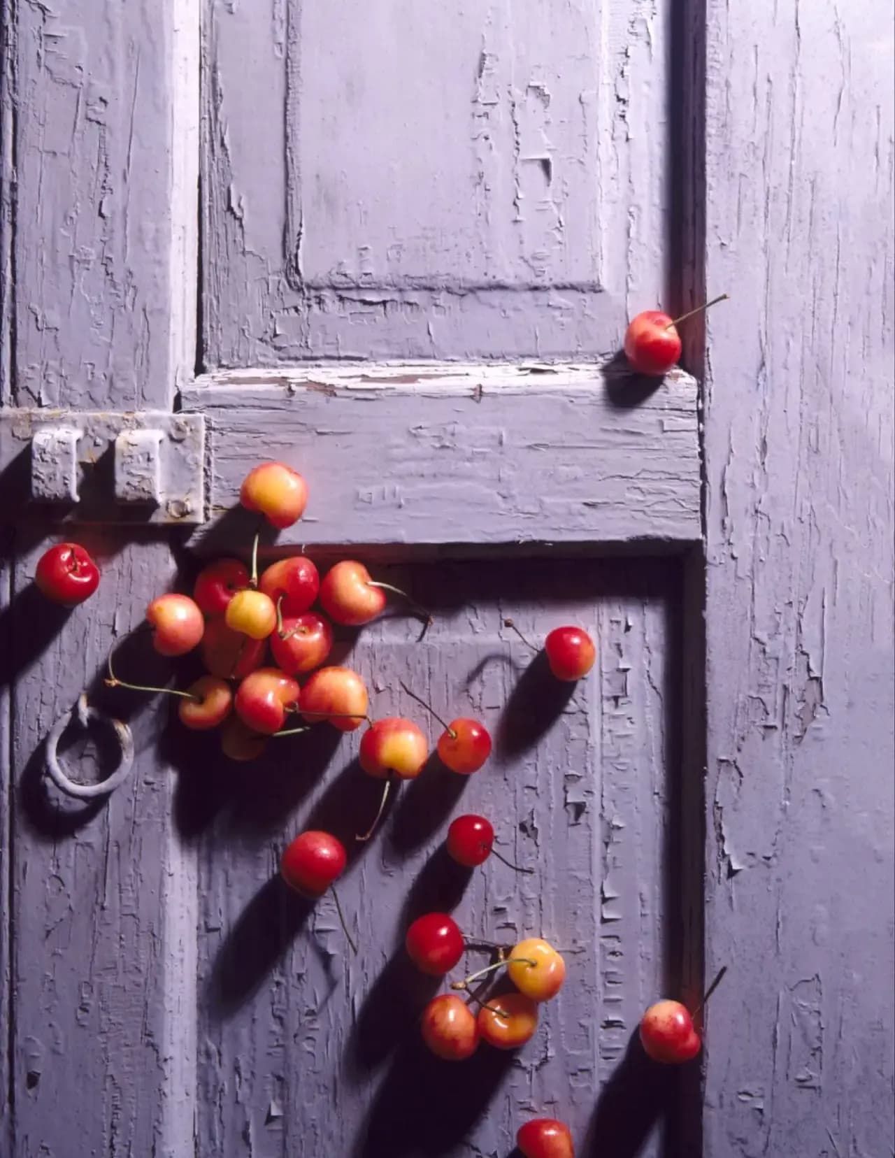 Mark Jenkins "MarkoJay" image