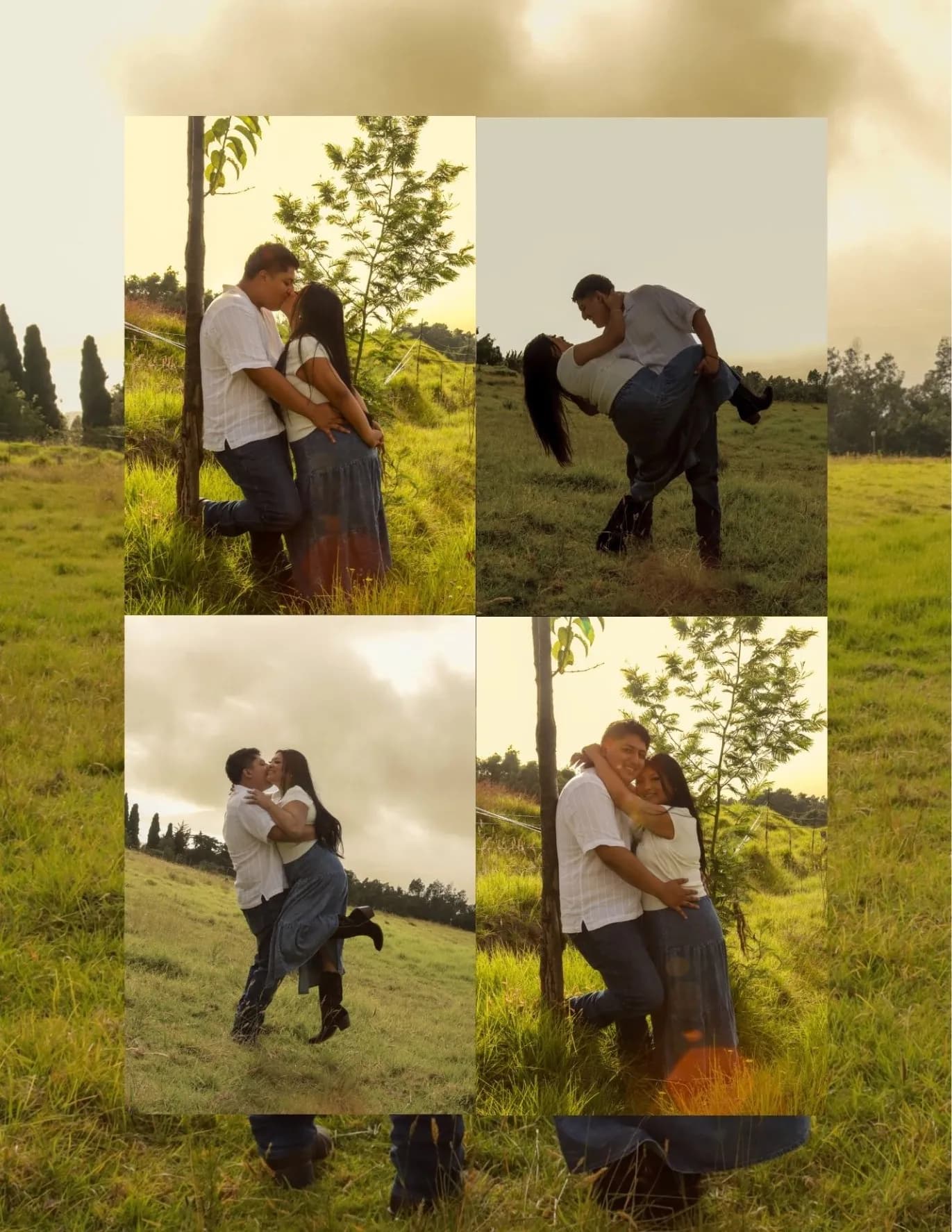 Brisa image