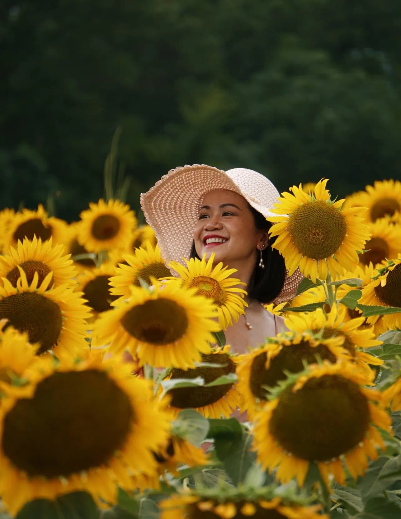 Taylor Tran image