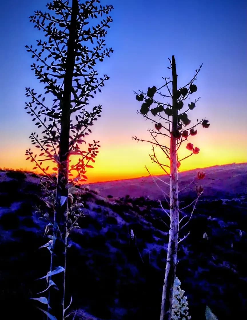 BillsStillsPhotography image