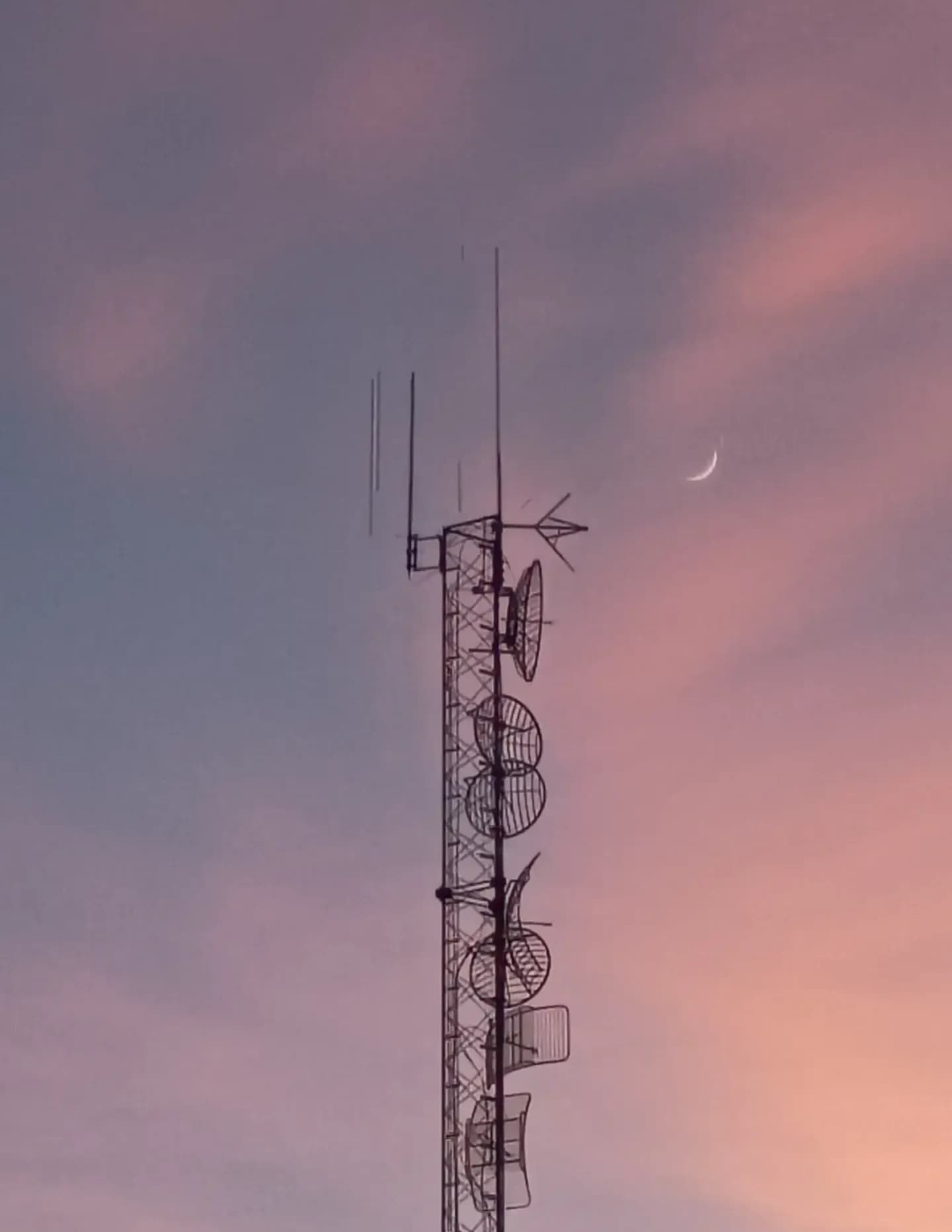 Danita Kimball-Mora image