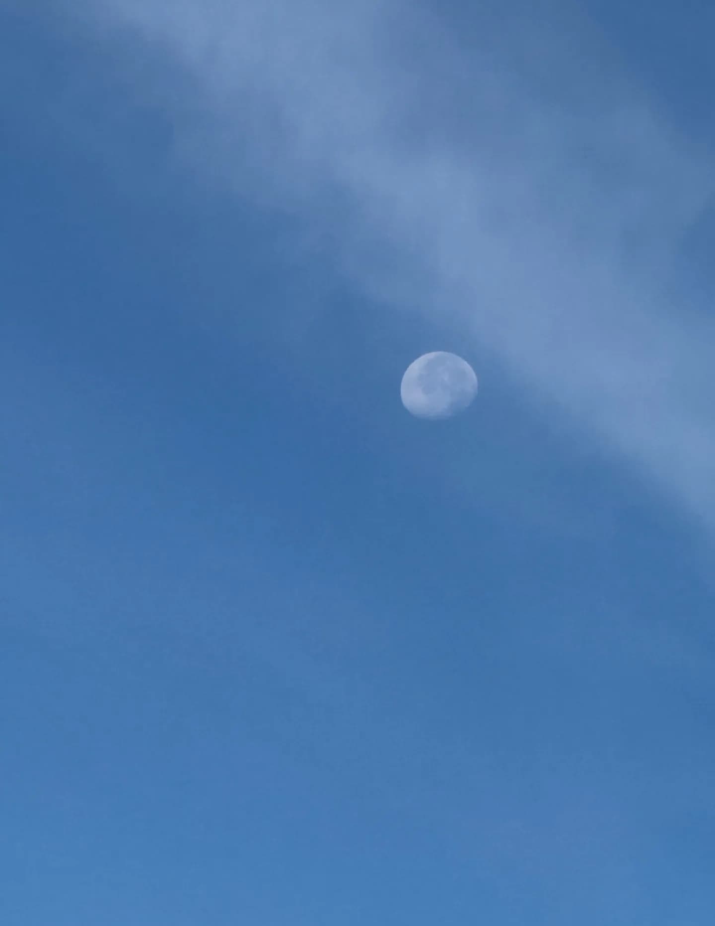 SunnyDawnnMoon image