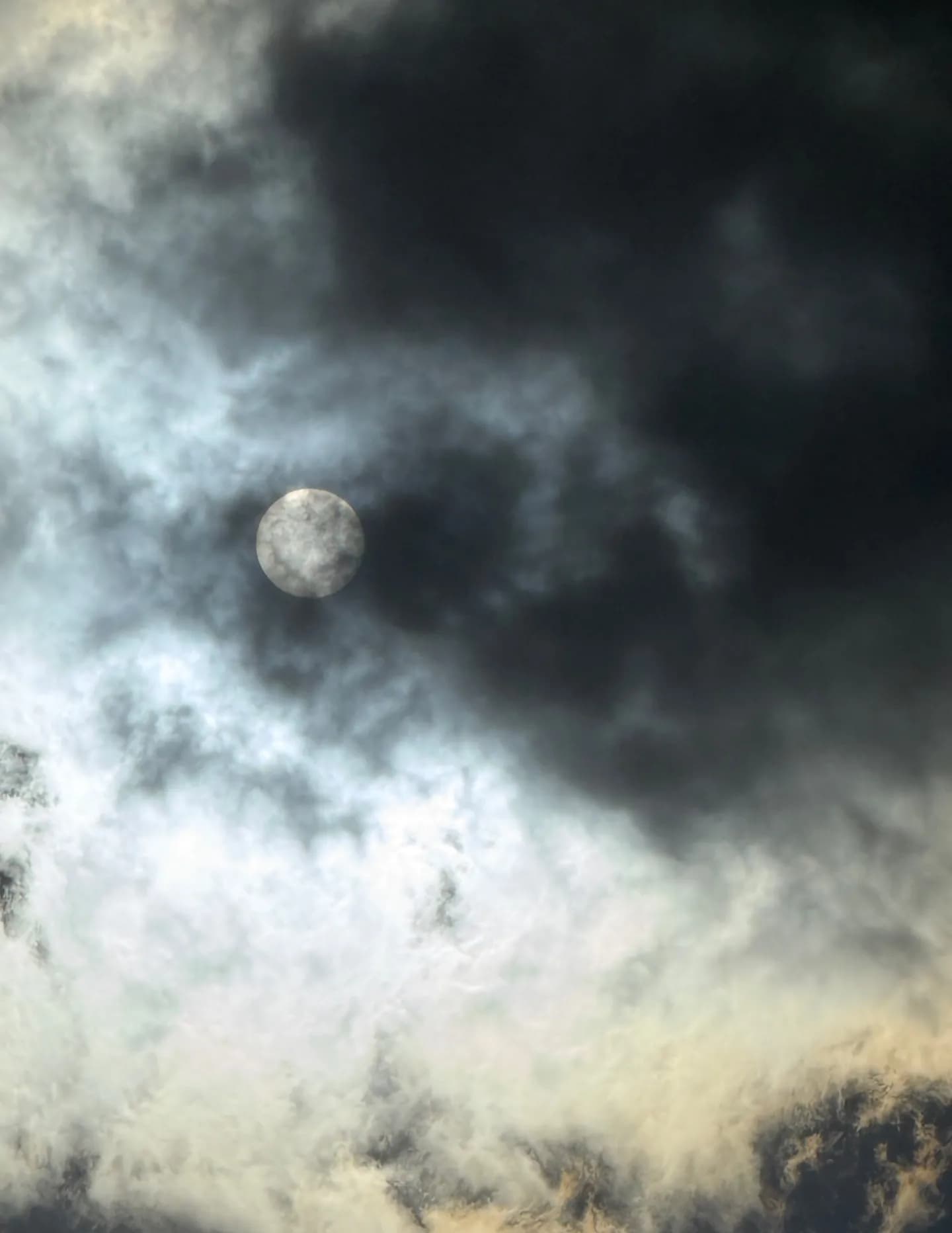 SunnyDawnnMoon image