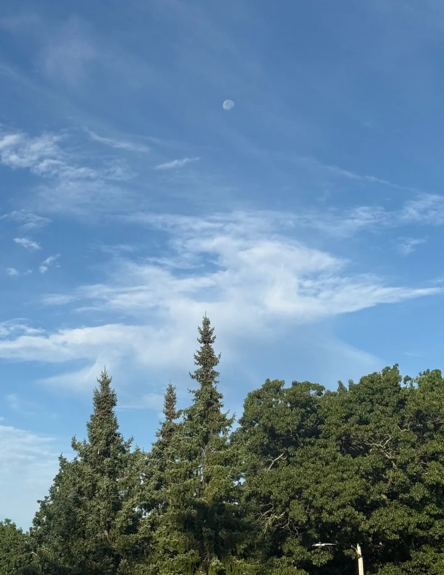 SunnyDawnnMoon image