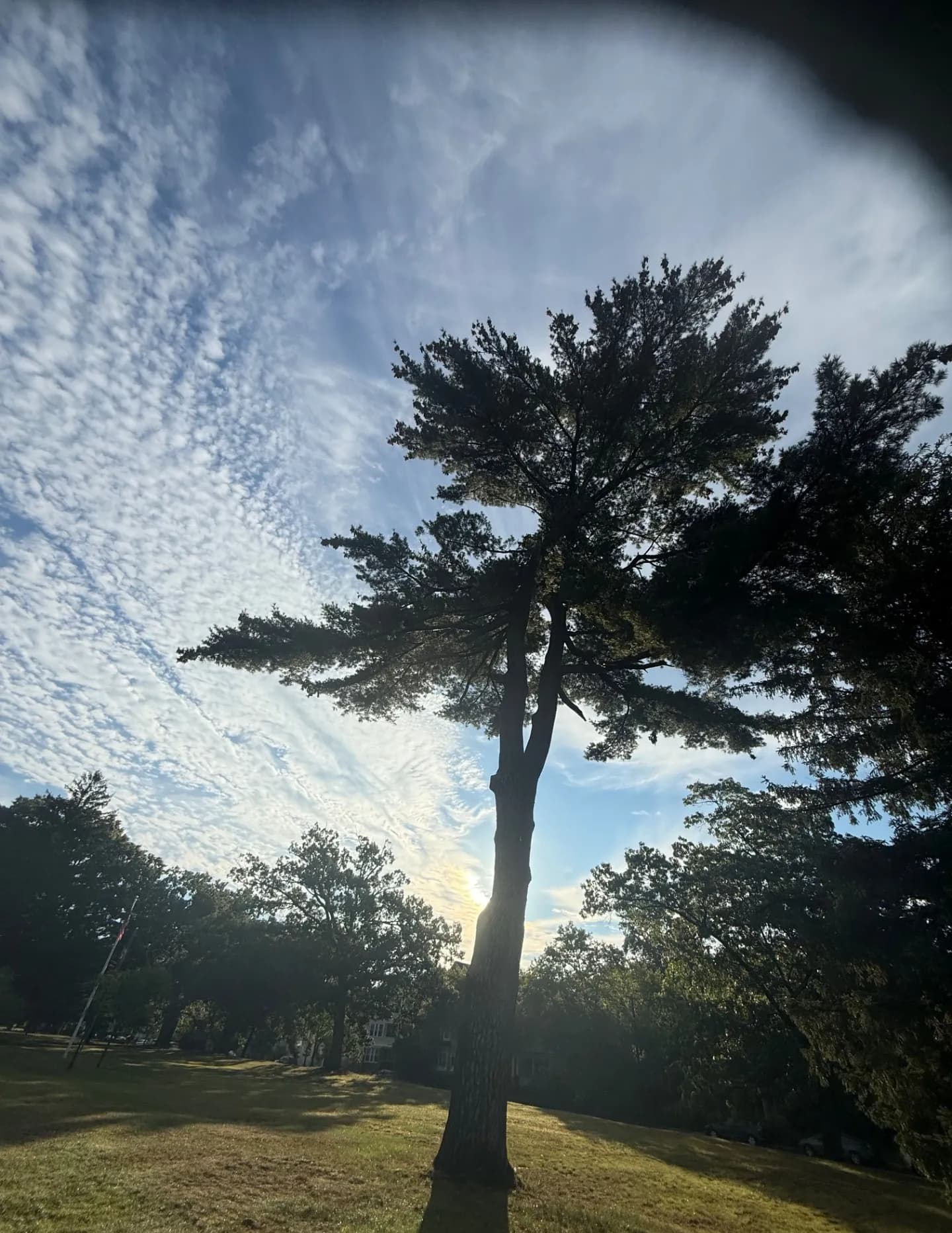 SunnyDawnnMoon image