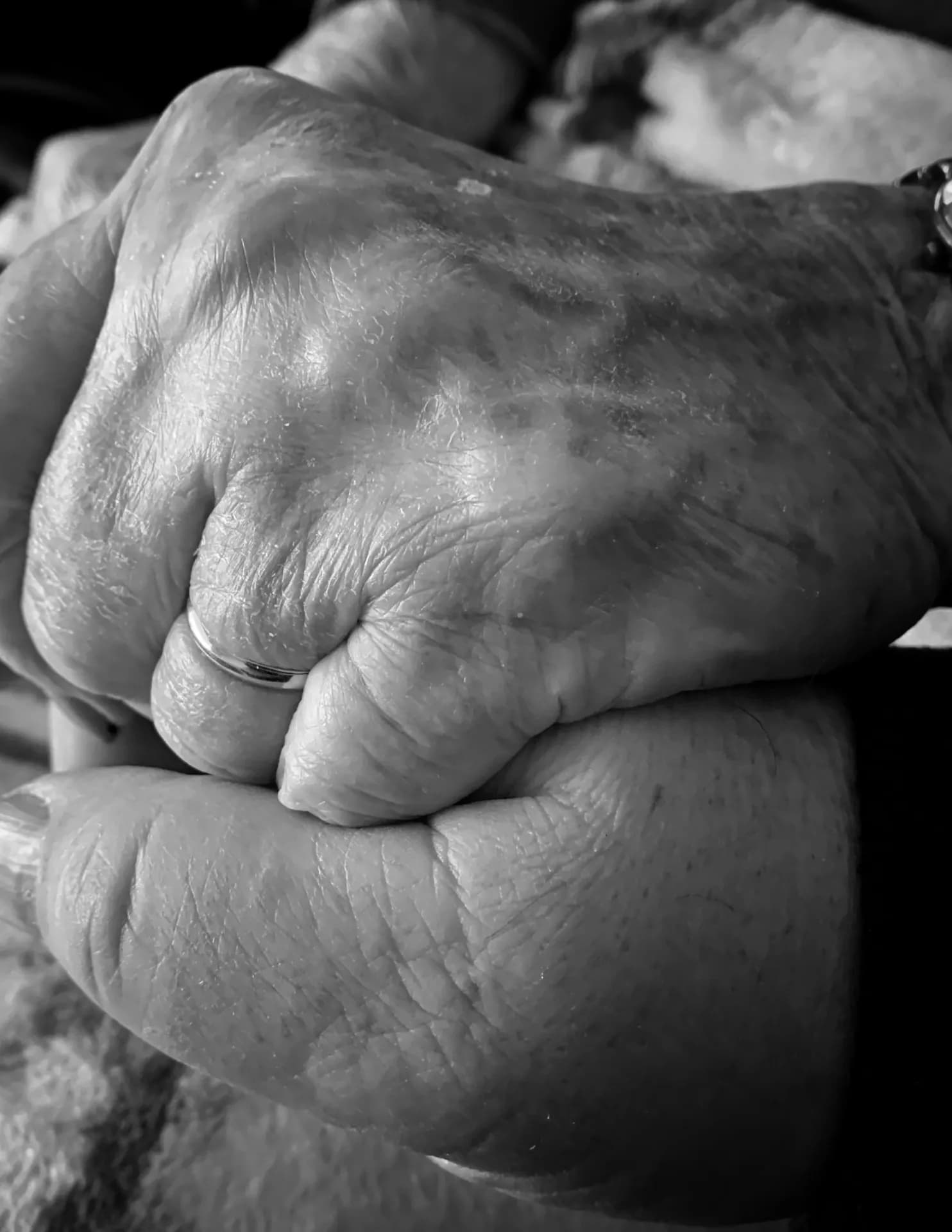 Gabanyphoto image