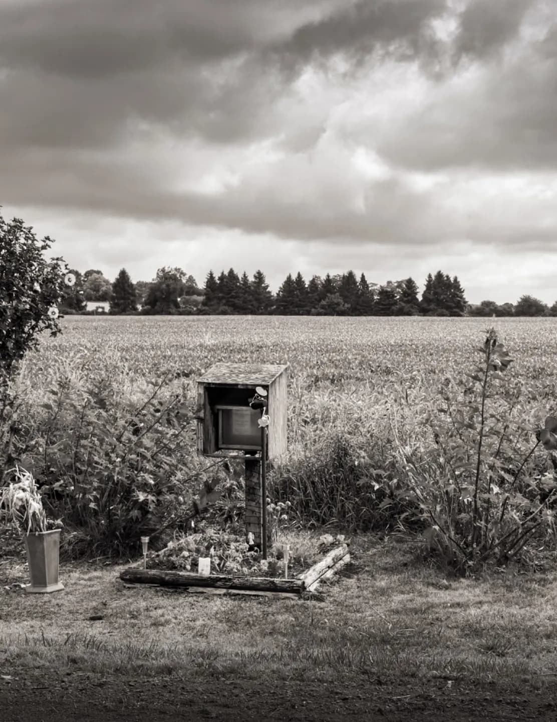 Gabanyphoto image