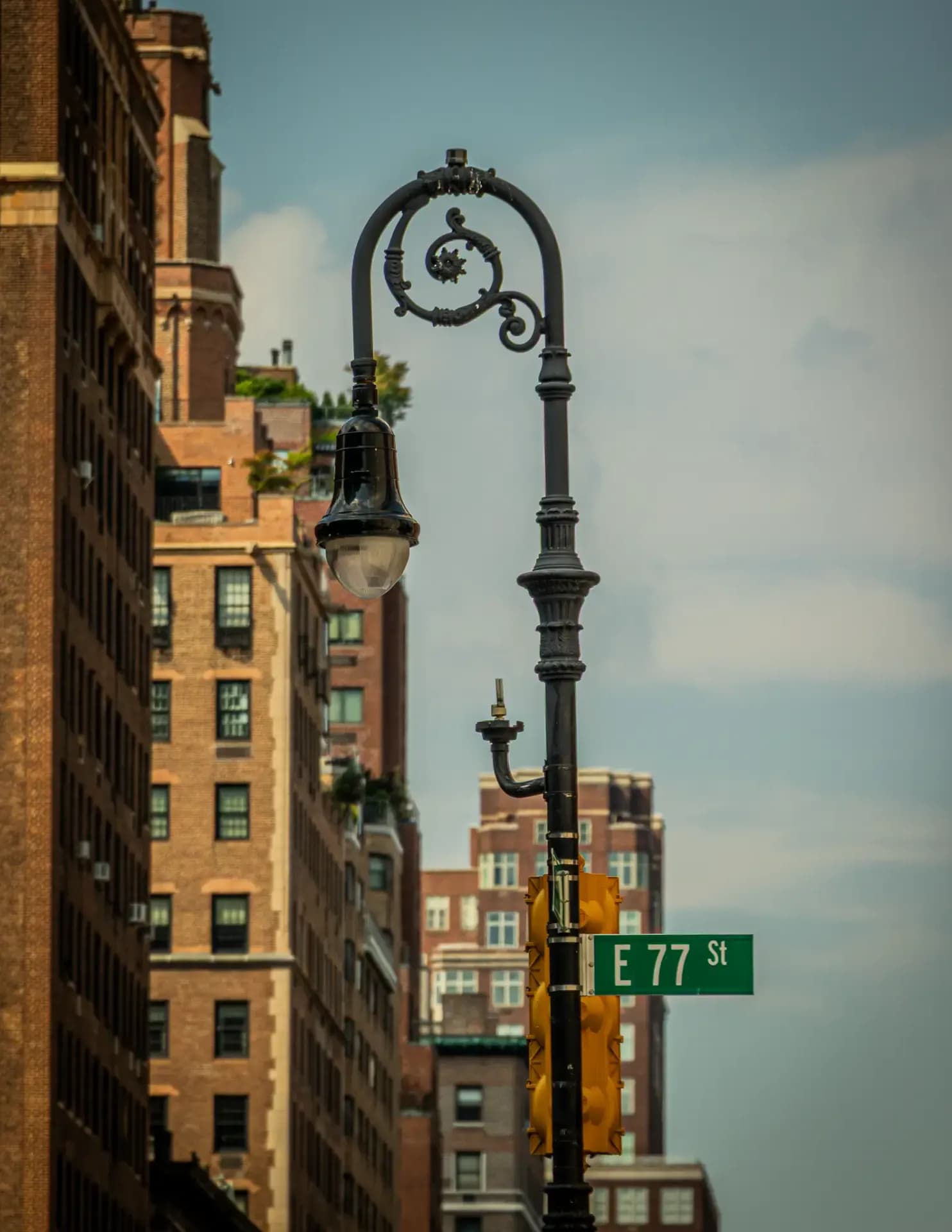 Thomad dc image