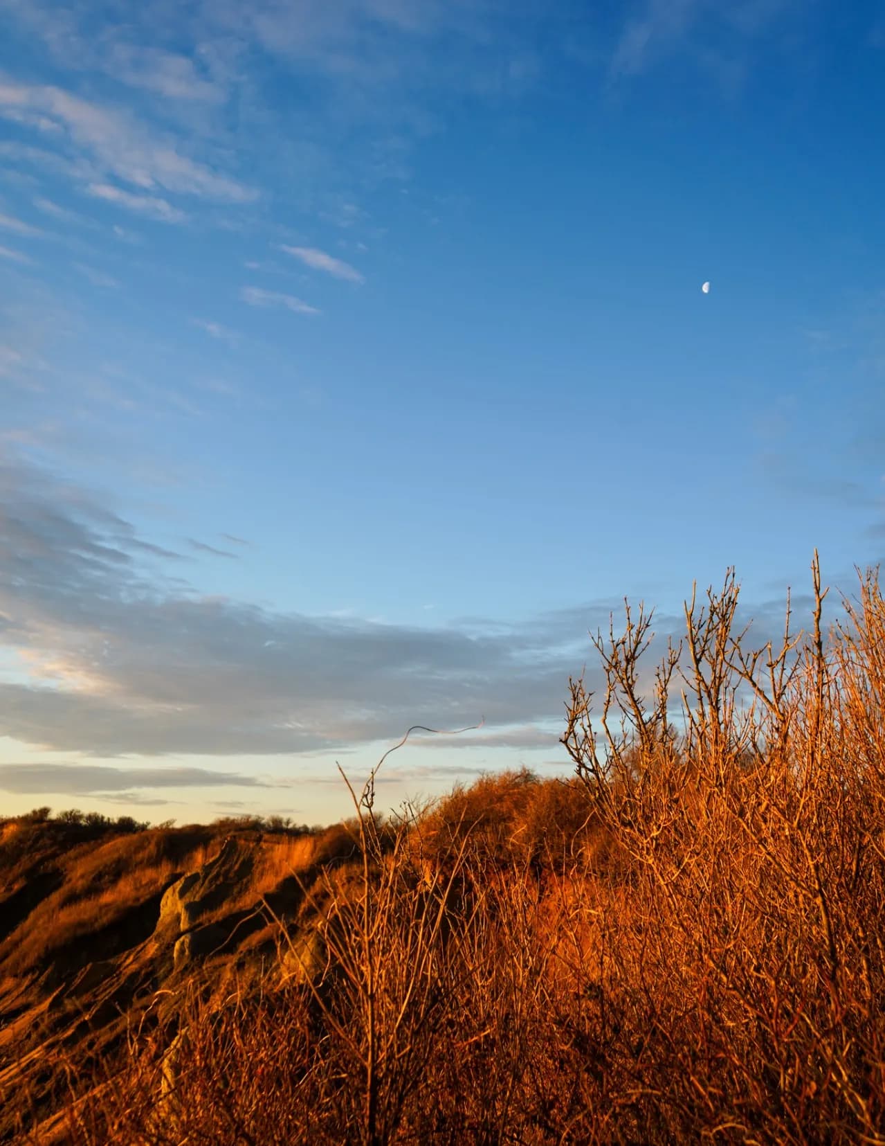 Avreysphotography image
