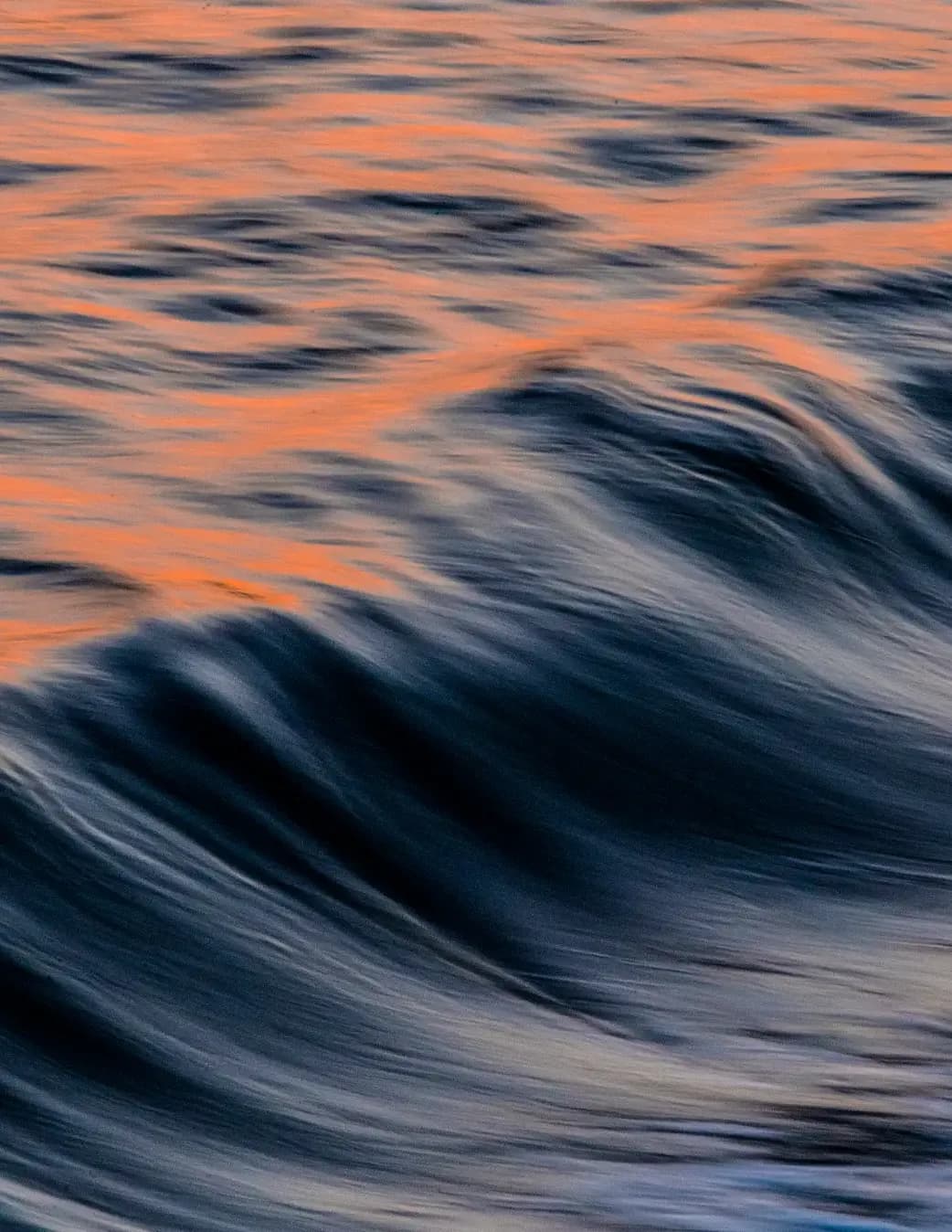 robbierodrigue image