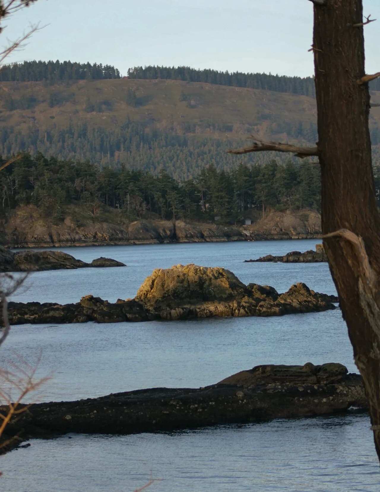 Kurtis Stevenson image