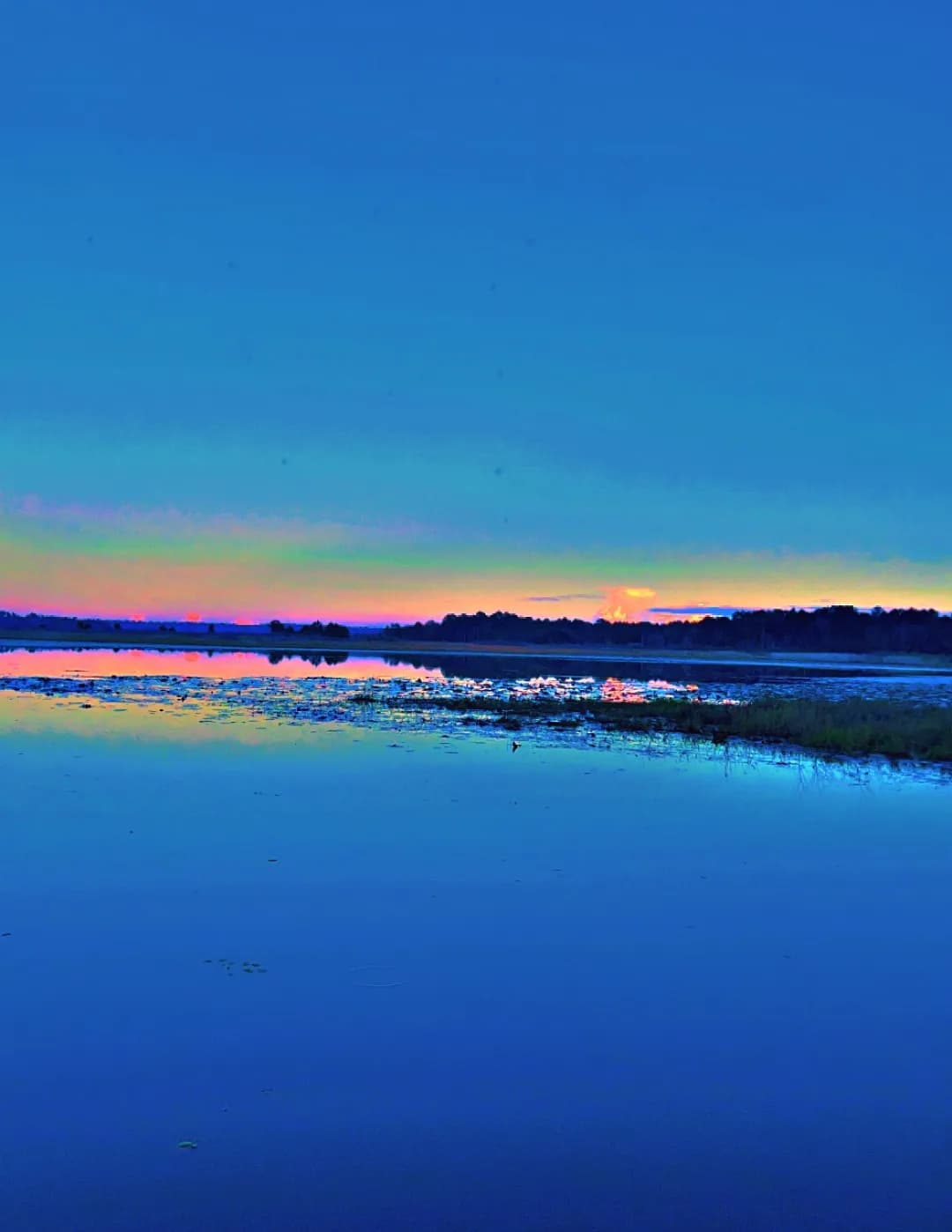 Dawn to Dusk Media Co image
