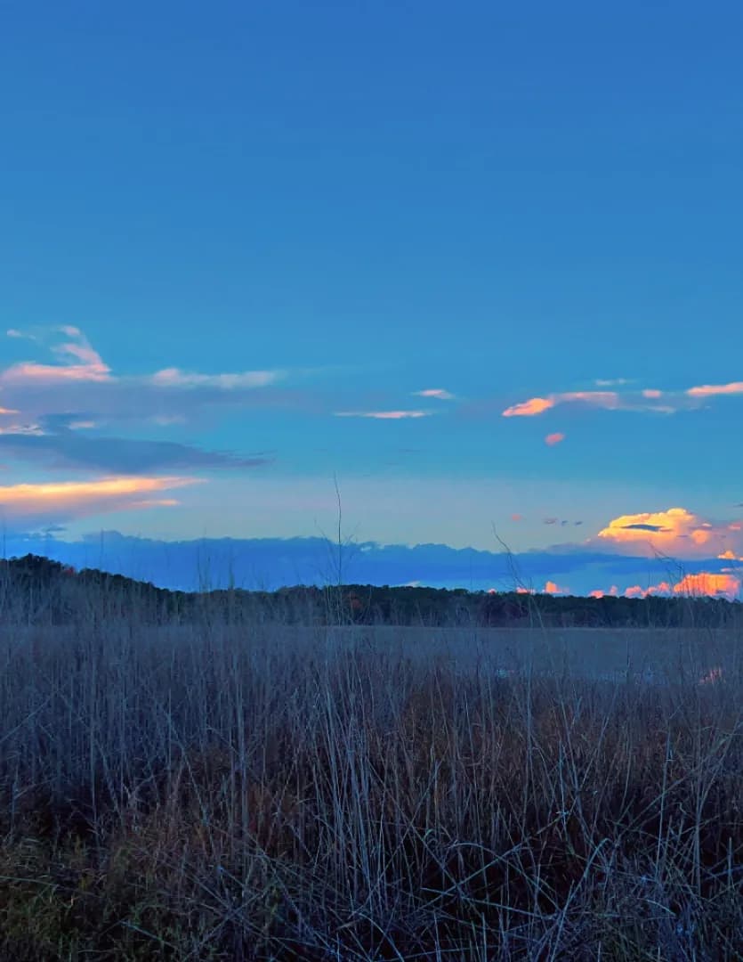 Dawn to Dusk Media Co image