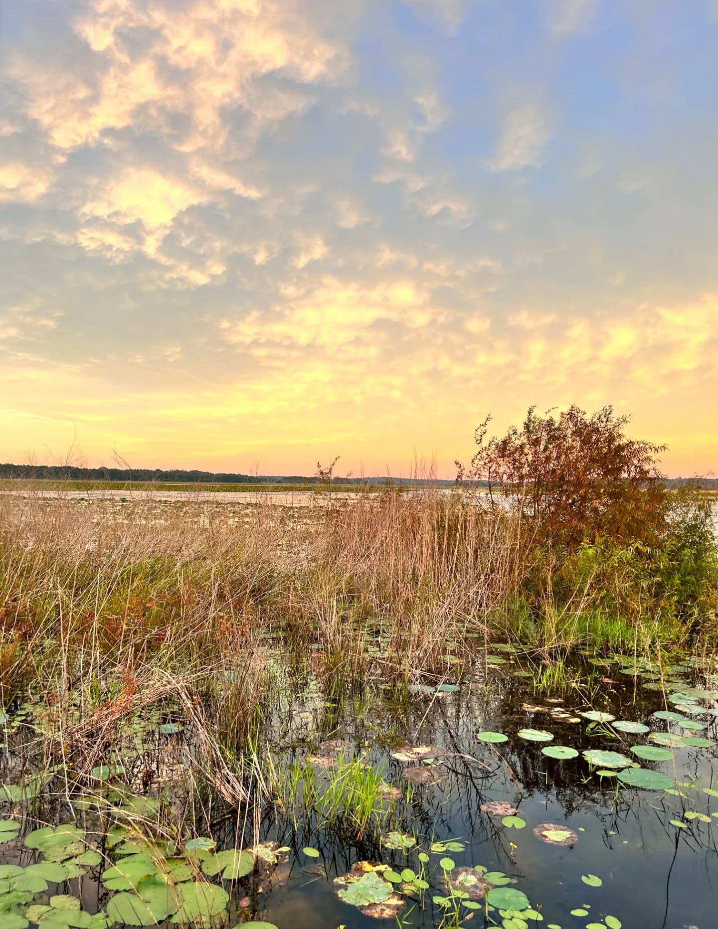 Dawn to Dusk Media Co image