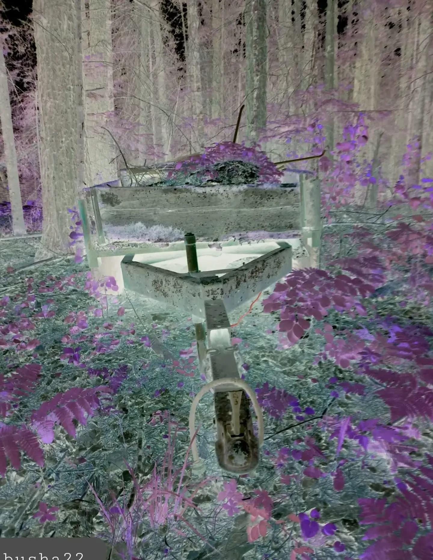 Billieb image