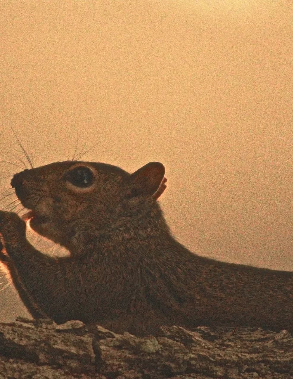 Dmj.Photography image