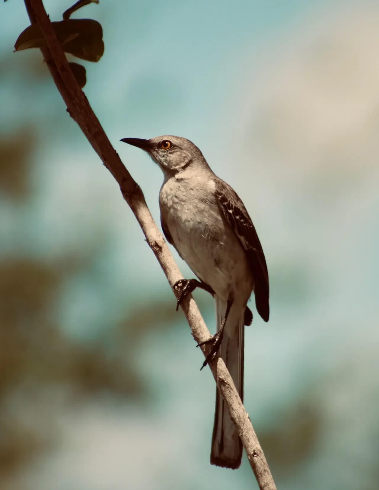 Dmj.Photography image