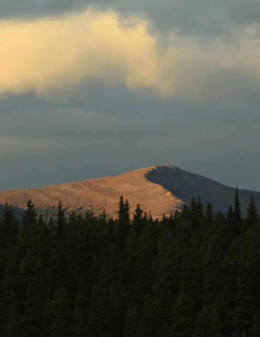 Nichol Buchaski image