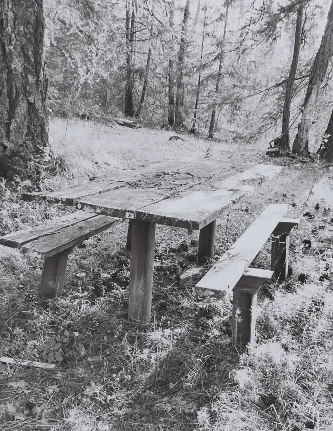 Laváda image
