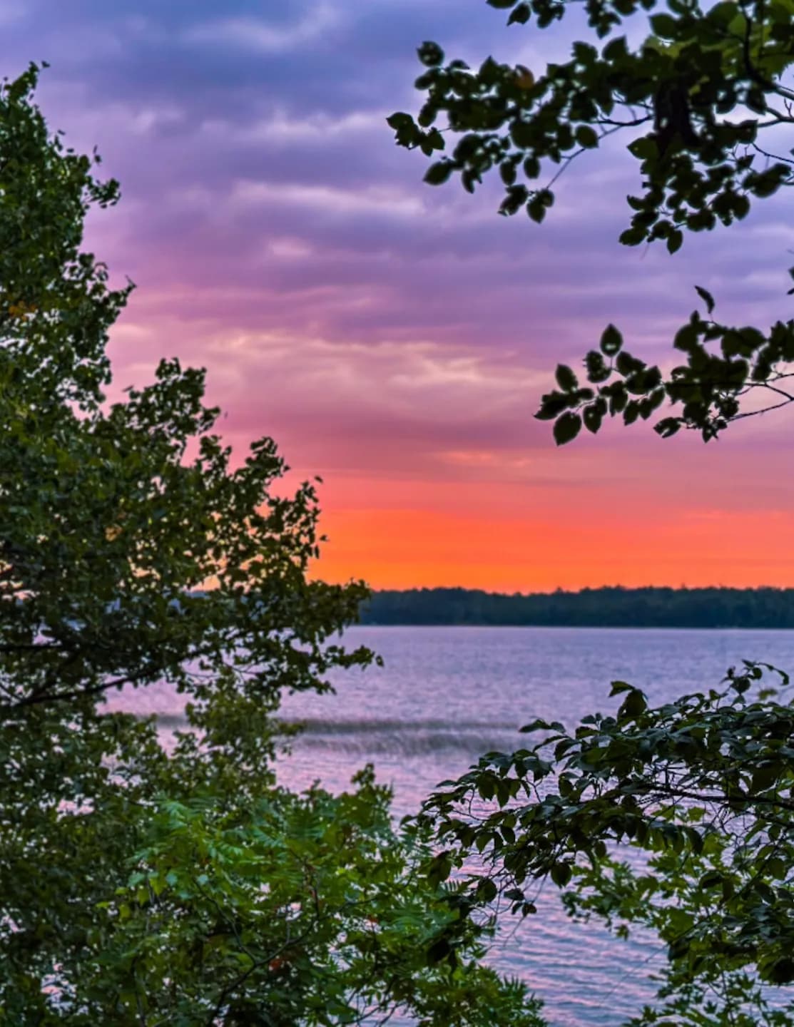 Woodmansee Media image