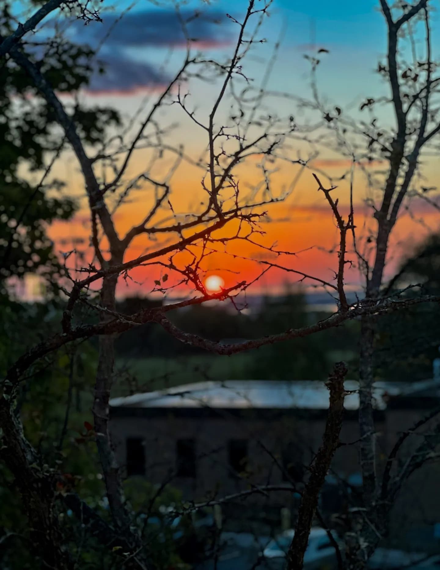 Woodmansee Media image